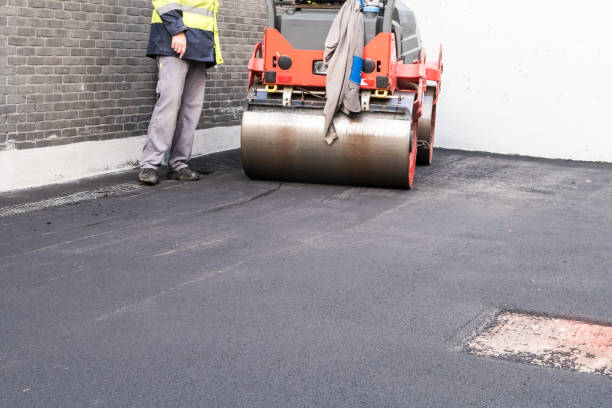 Driveway Pressure Washing in Jarrell, TX